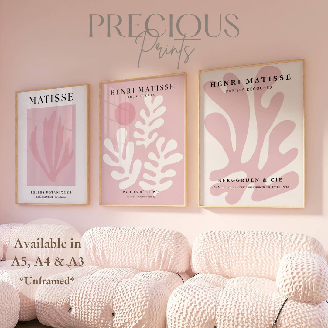 Set of 3 Blush Pink Matisse Floral Pretty Prints Art Gallery Decor Preppy Trendy