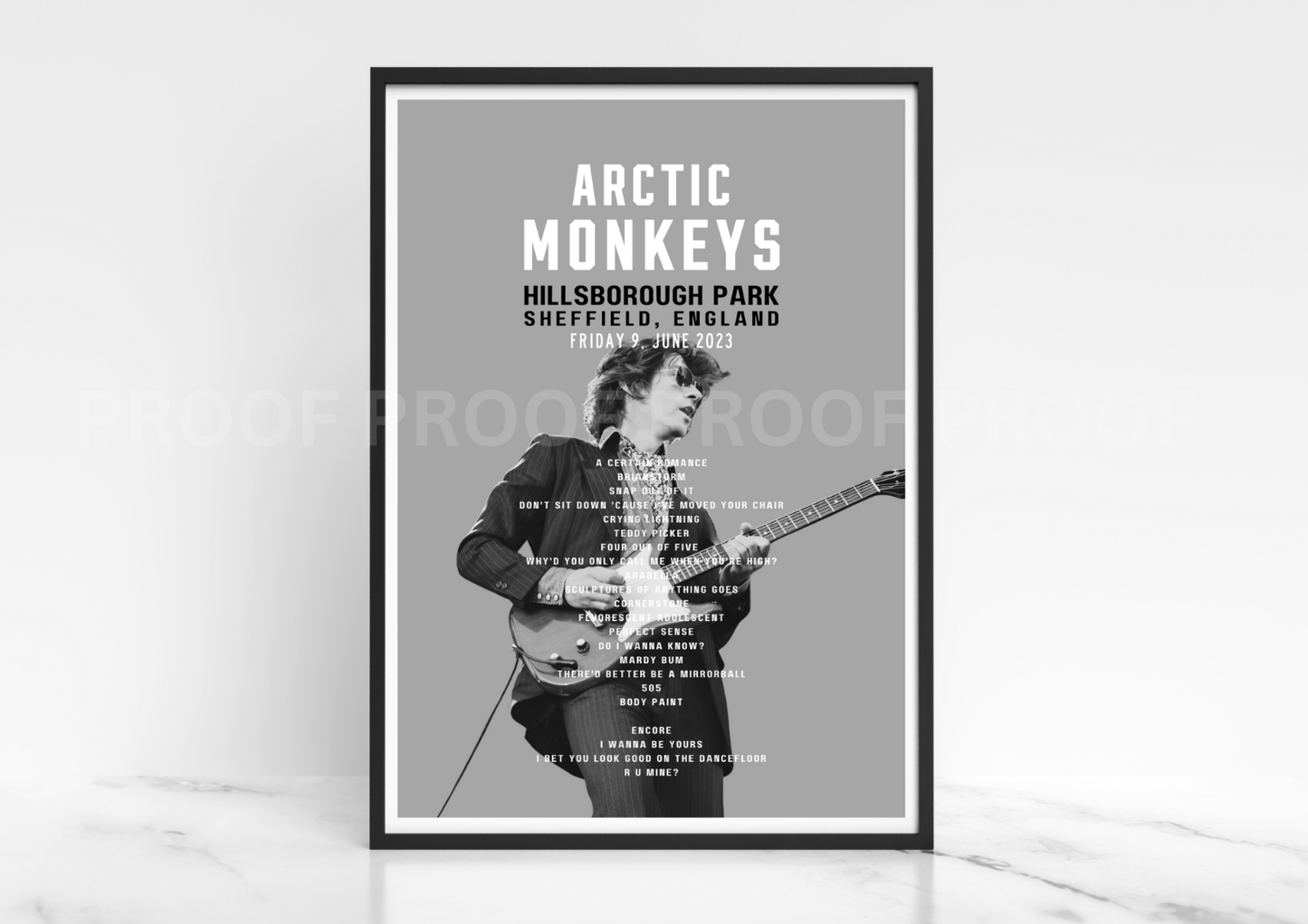 Arctic Monkeys Inspired Hillsborough Park 2023 / Music Legend / Music Poster /