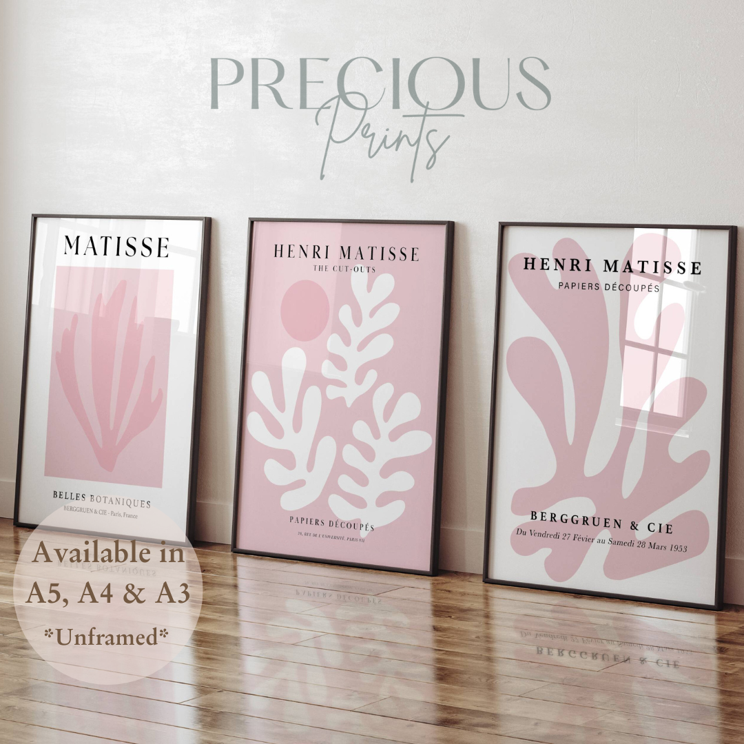 Set of 3 Blush Pink Matisse Floral Pretty Prints Art Gallery Decor Preppy Trendy