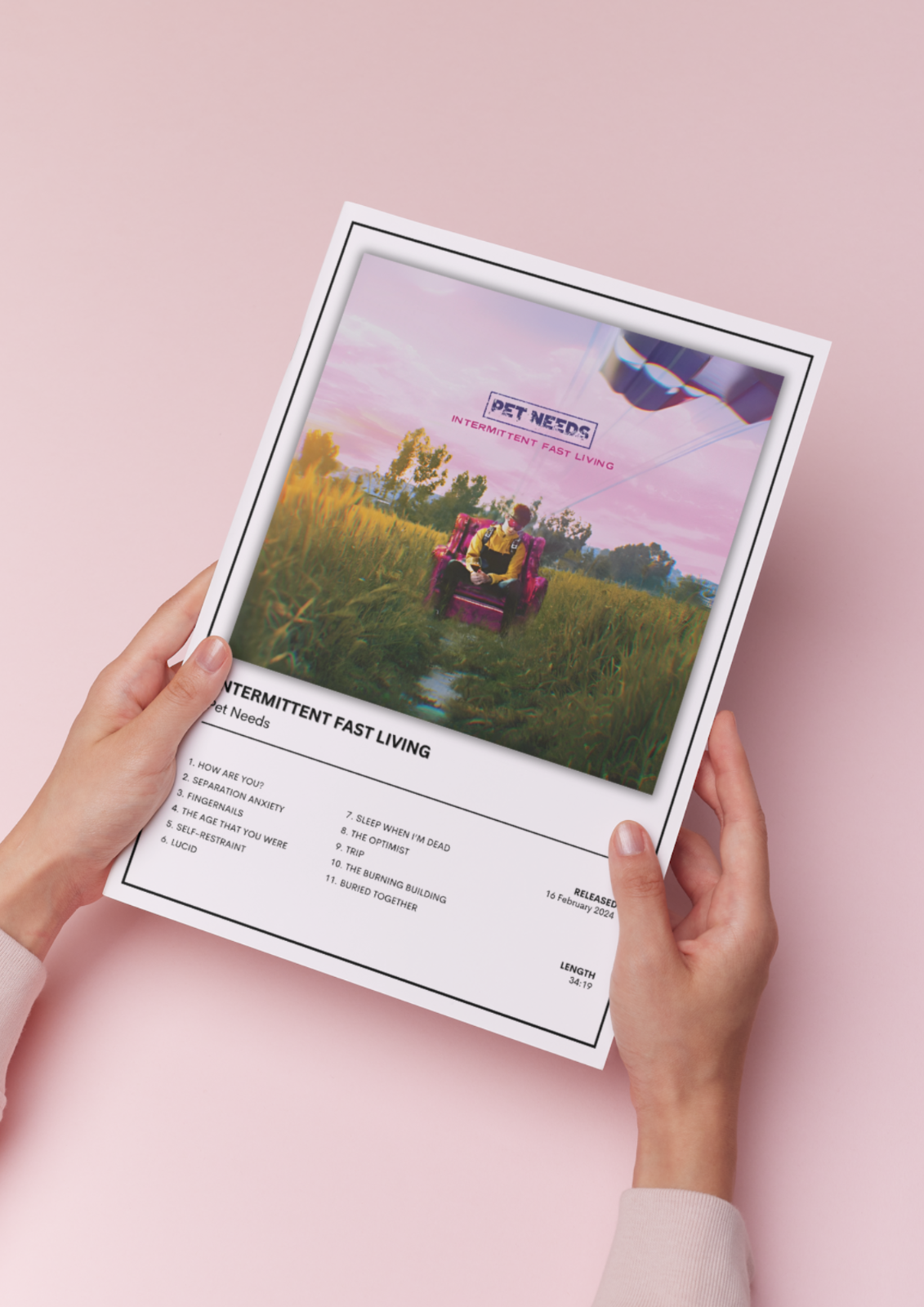 Pet Needs Intermittent Fast Living Music Poster Album Poster A5 A4 A3