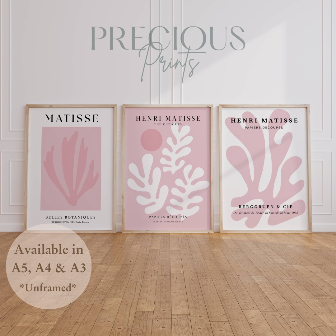 Set of 3 Blush Pink Matisse Floral Pretty Prints Art Gallery Decor Preppy Trendy
