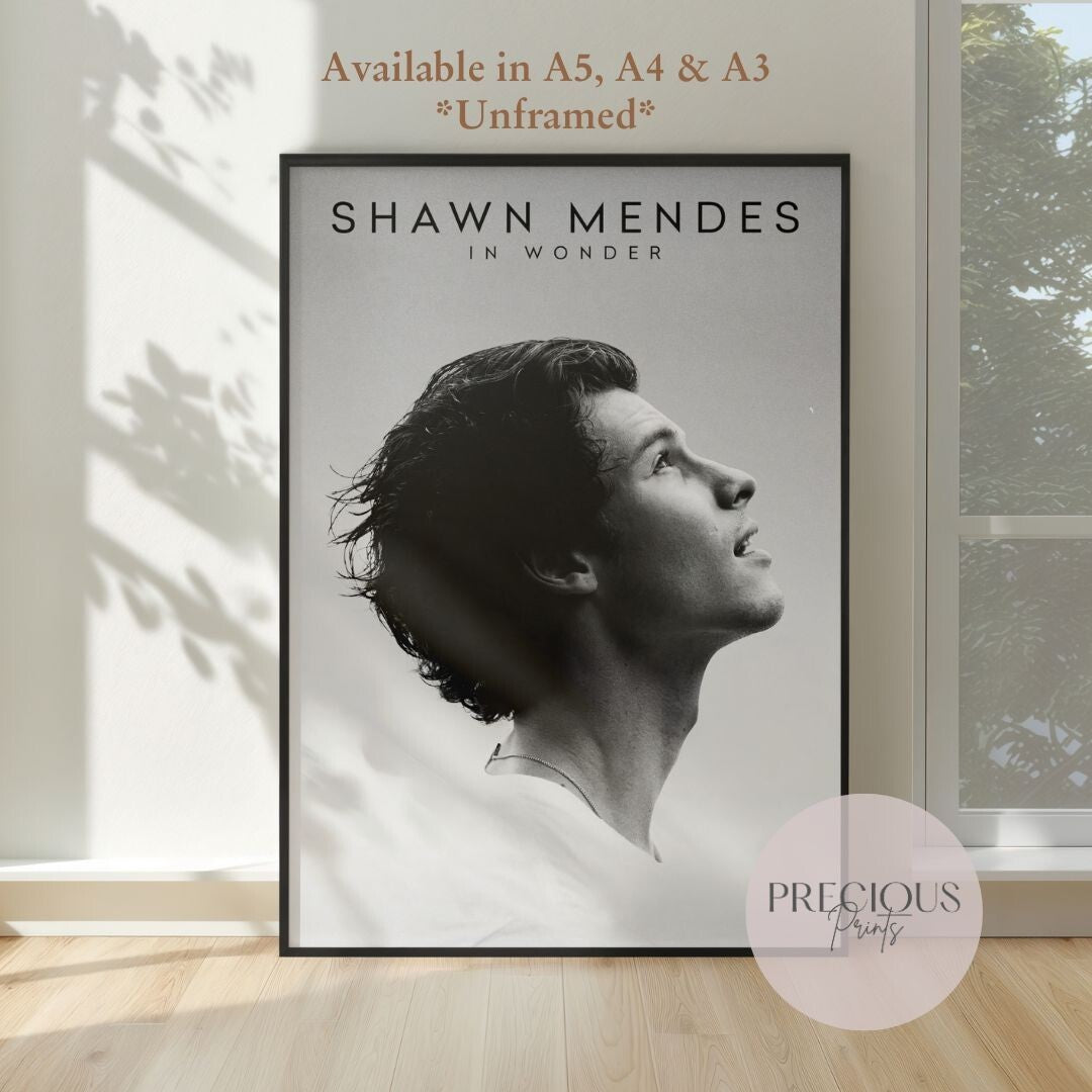 Shawn Mendes Poster / A5 A4 A3 Unframed / Fast Delivery / High Quality