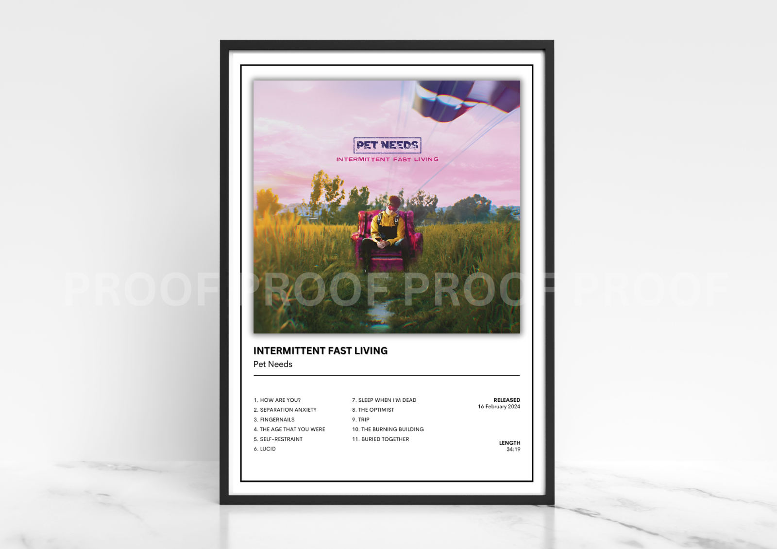 Pet Needs Intermittent Fast Living Music Poster Album Poster A5 A4 A3