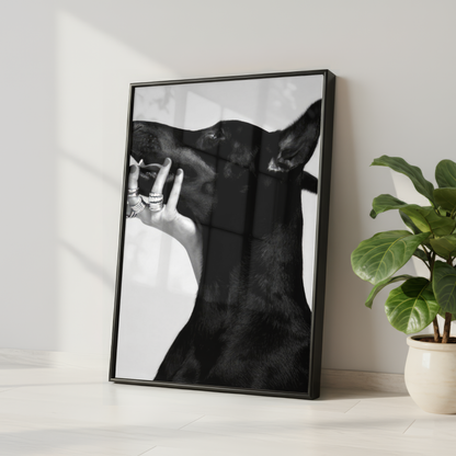 Luxury Doberman Dog Print