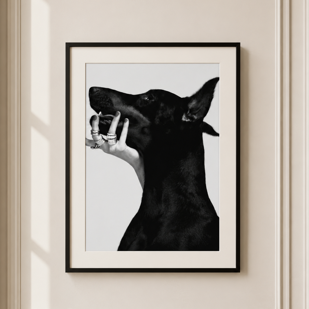 Black Doberman wall art featuring luxury monochrome dog photography styled in a contemporary neutral interior.