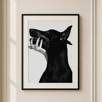 Black Doberman wall art featuring luxury monochrome dog photography styled in a contemporary neutral interior.