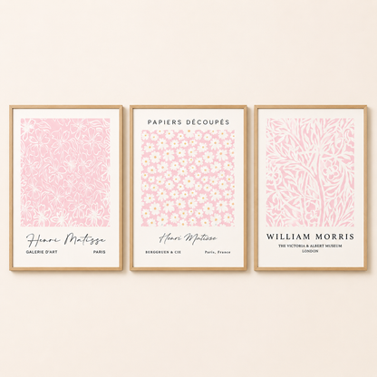 Set of 3 Pink Matisse / William Morris Prints
