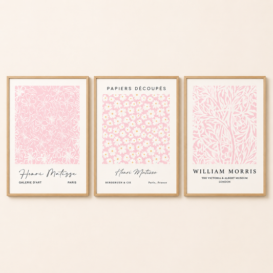 Set of 3 Pink Matisse / William Morris Prints