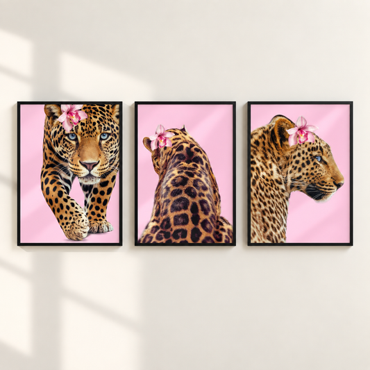 Three framed wall art prints showing leopards against a pink background, hung side by side on a light wall with soft window shadows.