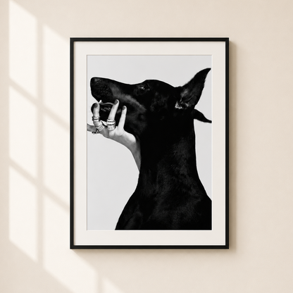 A framed black and white art print of a dog's head and a hand with rings, hanging on a beige wall with soft window shadow light.