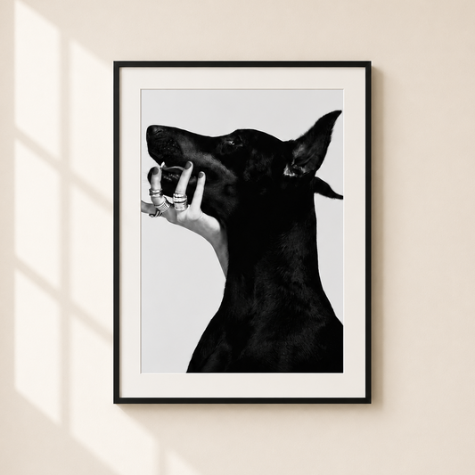 A framed black and white art print of a dog's head and a hand with rings, hanging on a beige wall with soft window shadow light.