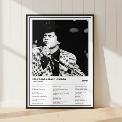 A framed black-and-white music poster of James Brown leaning against a white paneled wall on a light wood floor. The poster features a portrait of James Brown singing into a microphone, with the text 'PAPA'S GOT A BRAND NEW BAG' and a tracklist below.